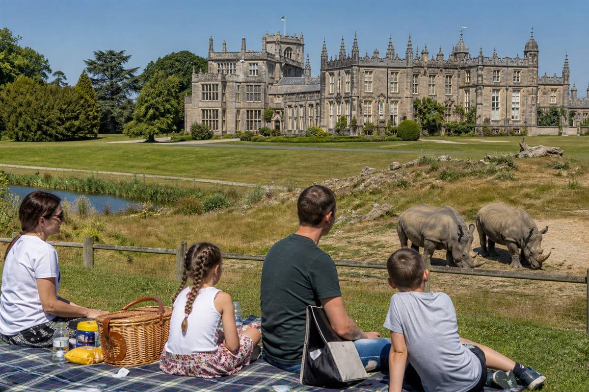Family picnicking on the lawn at Cotswold Wildlife Park