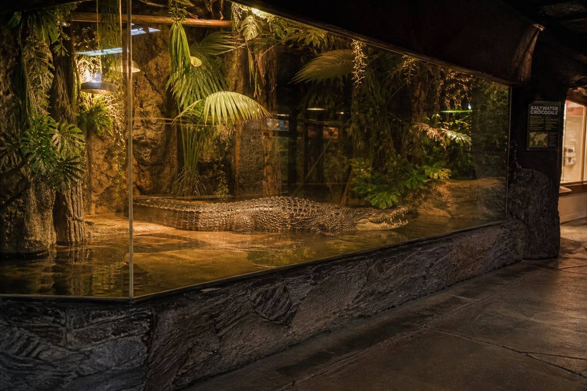 Crocodile enclosure inside the Reptile House at Cotswold Wildlife Park