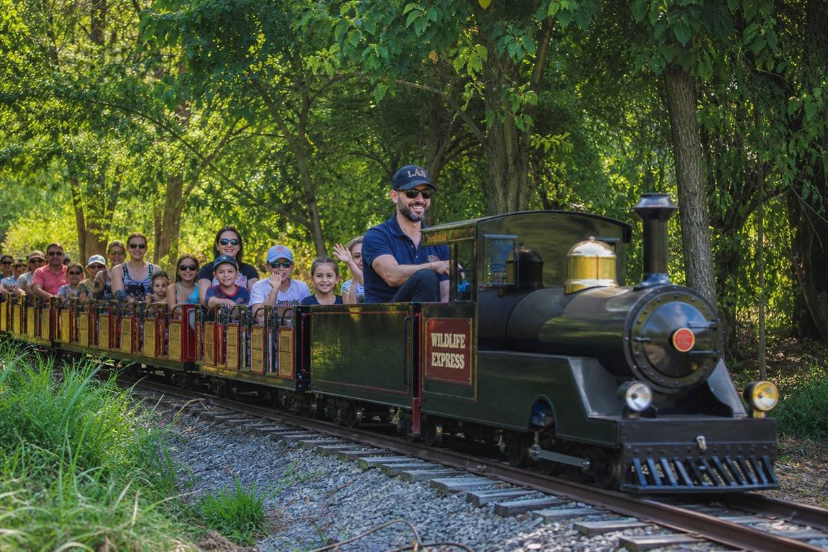 Bella the narrow-gauge train crossing the Park