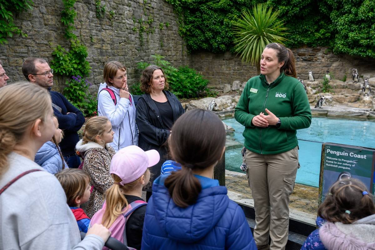 Keeper talk beside the penguin enclosure at Cotswold Wildlife Park