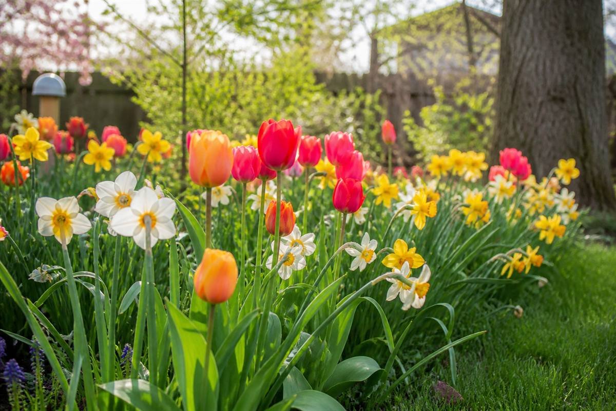 Accessible garden pathway in spring bloom at Cotswold Wildlife Park