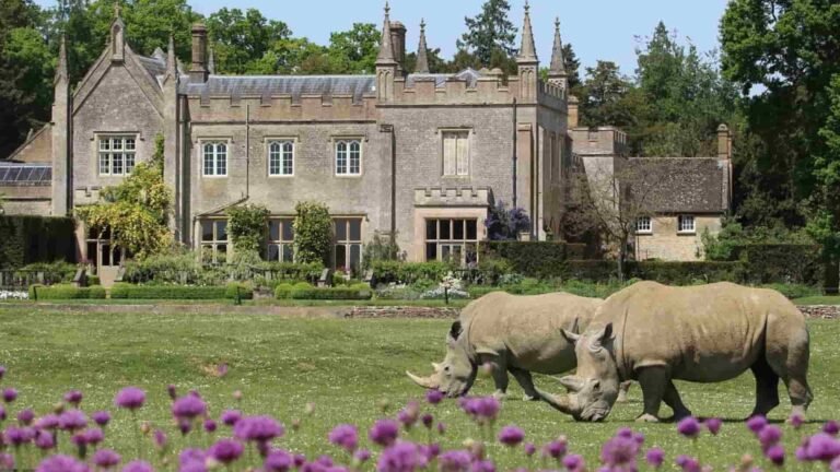 Burford Cotswold Wildlife Park & Gardens: Animals, Tickets and Visiting Information