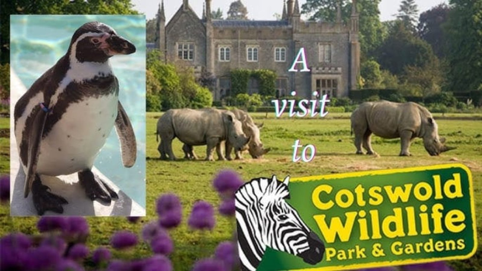 Cotswold Wildlife Park: Animals, Experiences and What to Know Before Visiting