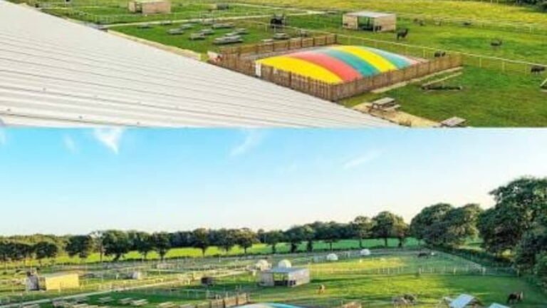 Attwell Farm Park: Complete Guide to Animals, Activities & Family Days Out