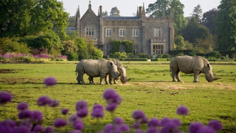 How to Find Cotswold Wildlife Park Jobs: Keeper Roles, Work Experience & Career Opportunities