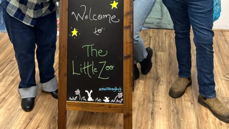 The Little Zoo: Wolf Experiences, Animals, Location & Visitor Guide