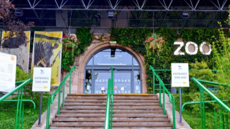 Holiday Inn Edinburgh Zoo: Rooms, Location, Facilities & Zoo Guide