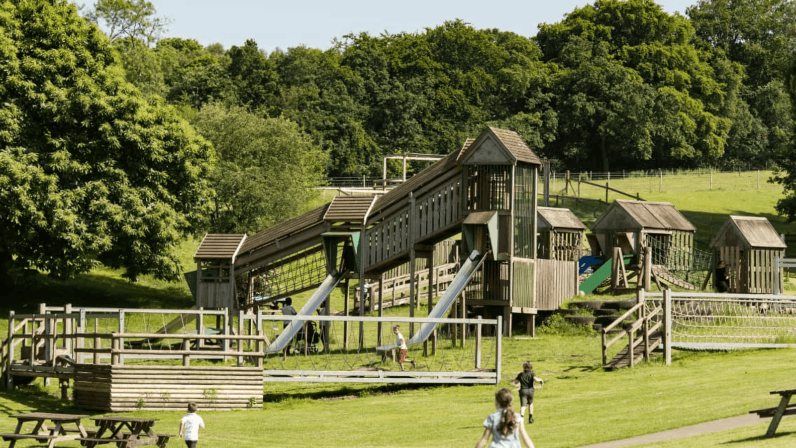 Farm Parks Near Me: Find the Best Farm Parks & Open Farms
