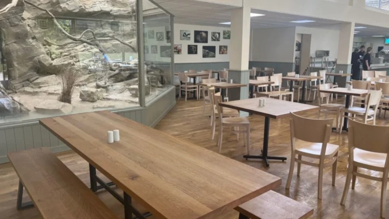 Coffee at Cotswold Wildlife Park: Cafés, Drinks, Cakes & Food Guide