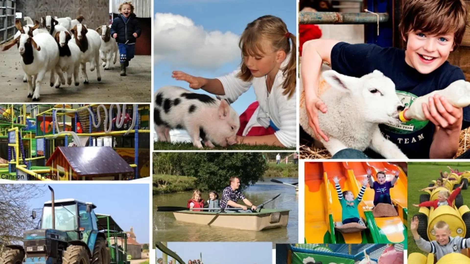 Farms Near Me for Kids: Find the Best Children's Farms & Family Farm Parks